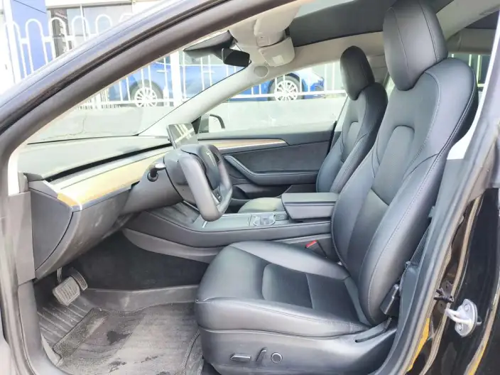 Model 3 2022 Model Rear-wheel drive version – фото 12