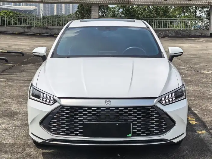 BYD Qin PLUS DM 2021 Model DM-i 120KM Noble Model – фото 2