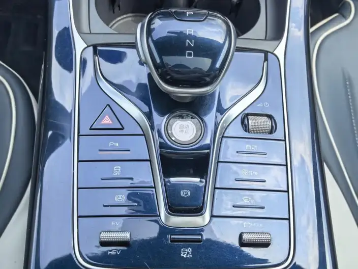 BYD Qin PLUS DM 2021 Model DM-i 120KM Noble Model – фото 16