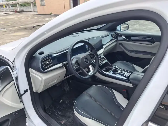 BYD Qin PLUS DM 2021 Model DM-i 120KM Noble Model – фото 23