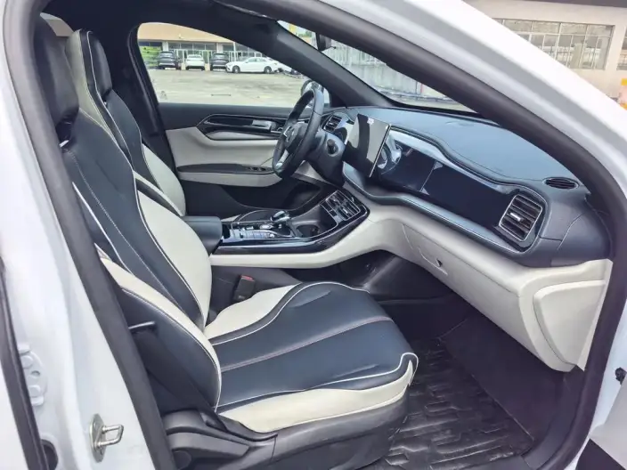 BYD Qin PLUS DM 2021 Model DM-i 120KM Noble Model – фото 24
