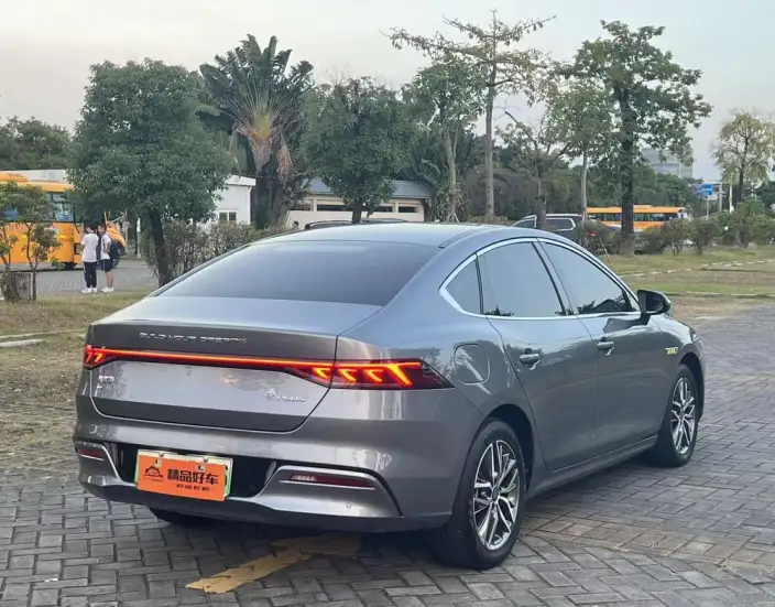Qin Plus EV 2021 Model 500KM Luxury Model – фото 7