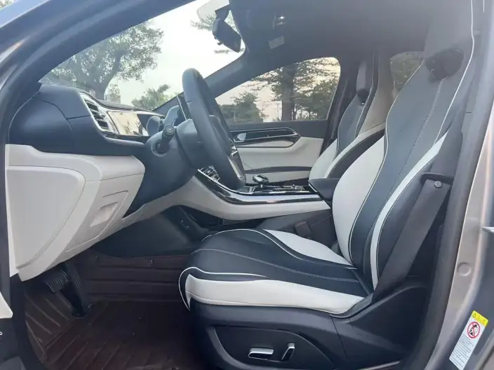 Qin Plus EV 2021 Model 500KM Luxury Model – фото 16
