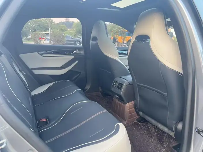 Qin Plus EV 2021 Model 500KM Luxury Model – фото 17