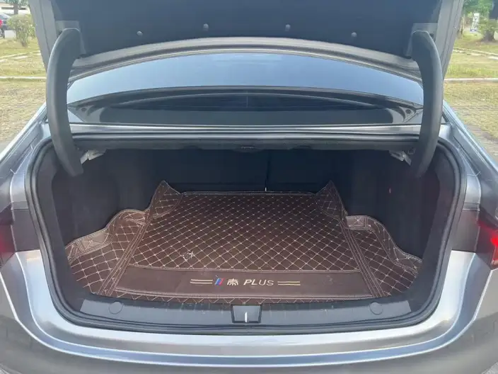 Qin Plus EV 2021 Model 500KM Luxury Model – фото 19