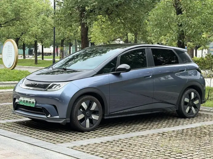 BYD Dolphin 2024 Model Honor Edition 401km Knight Edition – фото 1
