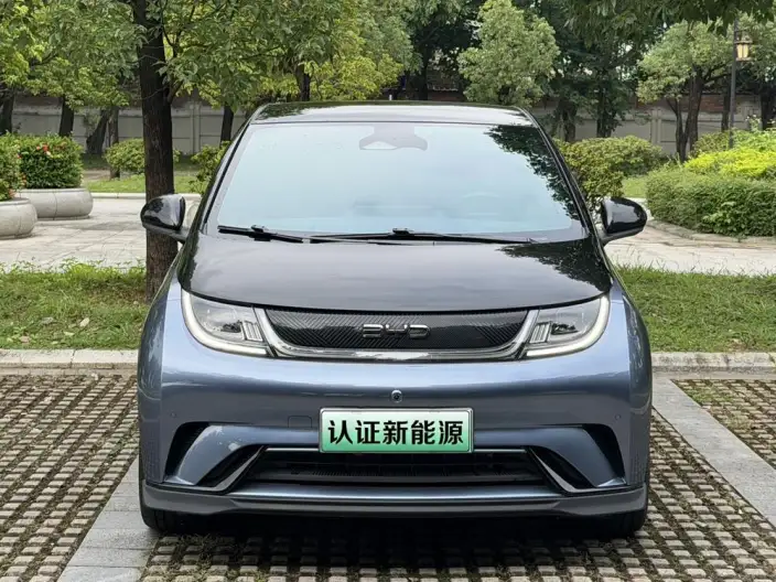 BYD Dolphin 2024 Model Honor Edition 401km Knight Edition – фото 2