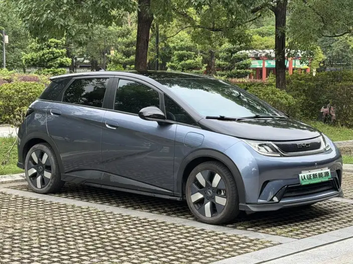 BYD Dolphin 2024 Model Honor Edition 401km Knight Edition – фото 3