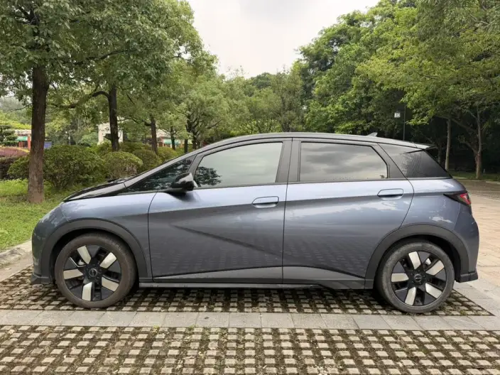 BYD Dolphin 2024 Model Honor Edition 401km Knight Edition – фото 4