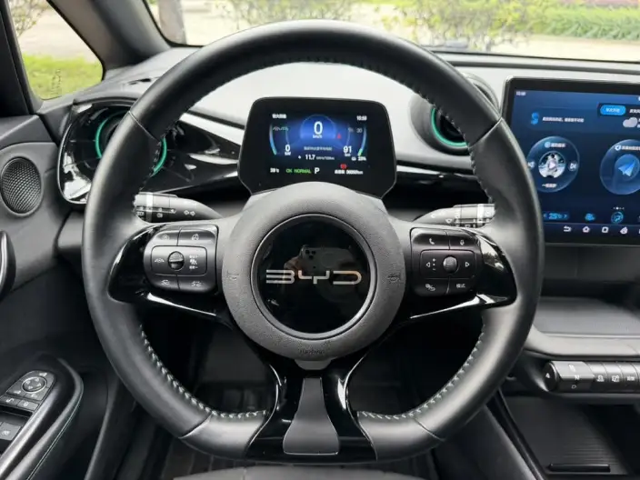 BYD Dolphin 2024 Model Honor Edition 401km Knight Edition – фото 12