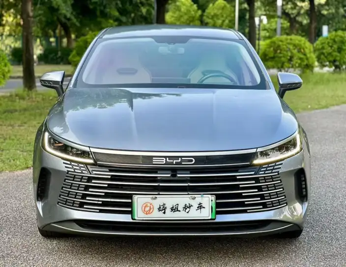 BYD Destroyer 05 2023 Model DM-i Champion Edition 55KM Noble Model – фото 2