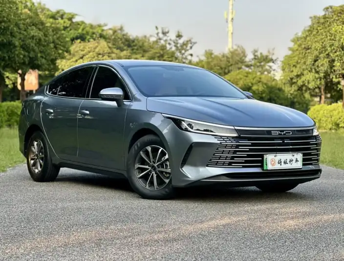 BYD Destroyer 05 2023 Model DM-i Champion Edition 55KM Noble Model – фото 3