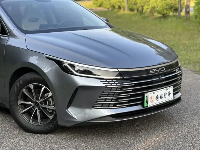 BYD Destroyer 05 2023 Model DM-i Champion Edition 55KM Noble Model – фото 8