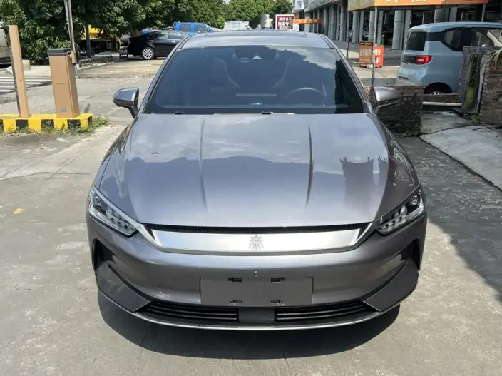 Qin Plus EV 2021 Model 500KM Noble Model – фото 2