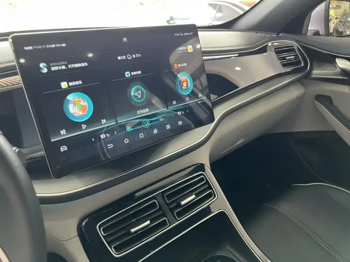 Qin Plus EV 2021 Model 500KM Noble Model – фото 7