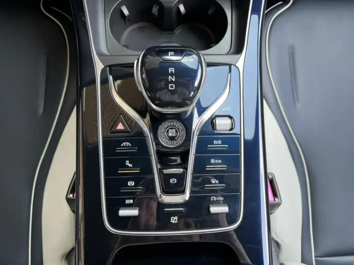Qin Plus EV 2021 Model 500KM Noble Model – фото 8