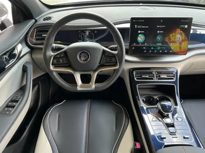 Qin Plus EV 2021 Model 500KM Noble Model – фото 13