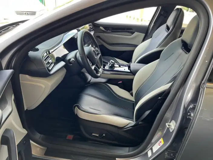 Qin Plus EV 2021 Model 500KM Noble Model – фото 14