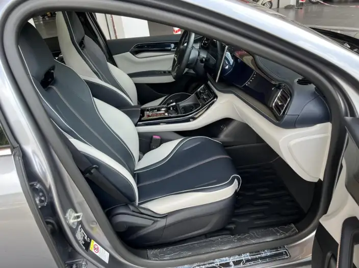 Qin Plus EV 2021 Model 500KM Noble Model – фото 15