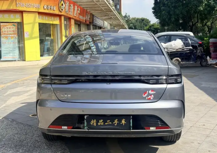 BYD Destroyer 05 2024 Model Honor Edition DM-i 55KM Luxury Model – фото 5