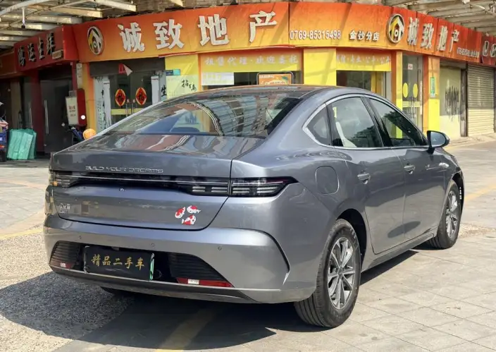 BYD Destroyer 05 2024 Model Honor Edition DM-i 55KM Luxury Model – фото 6