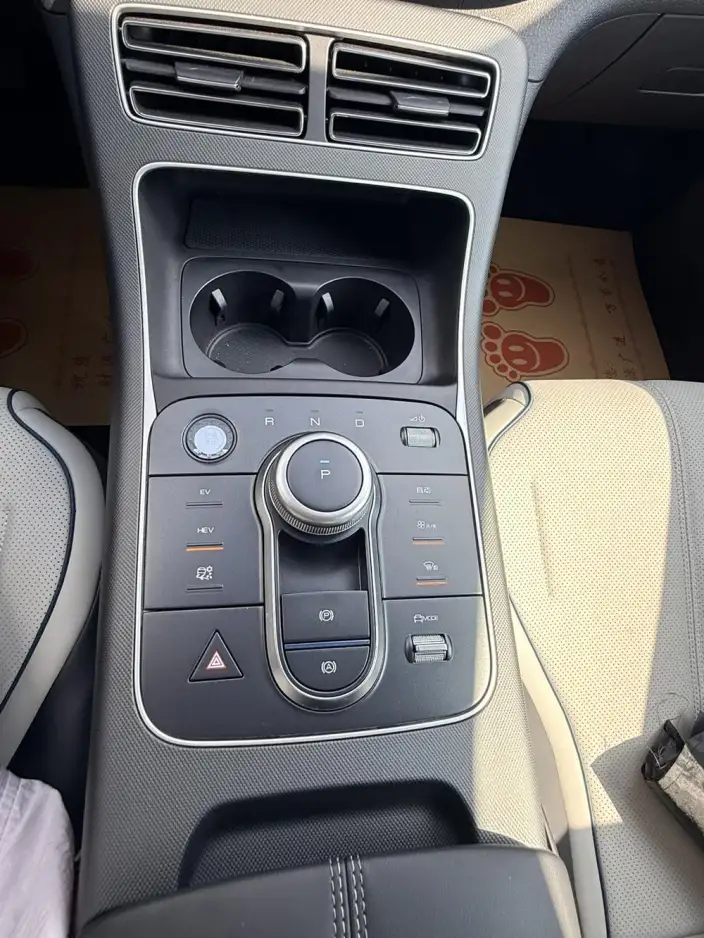 BYD Destroyer 05 2024 Model Honor Edition DM-i 55KM Luxury Model – фото 15