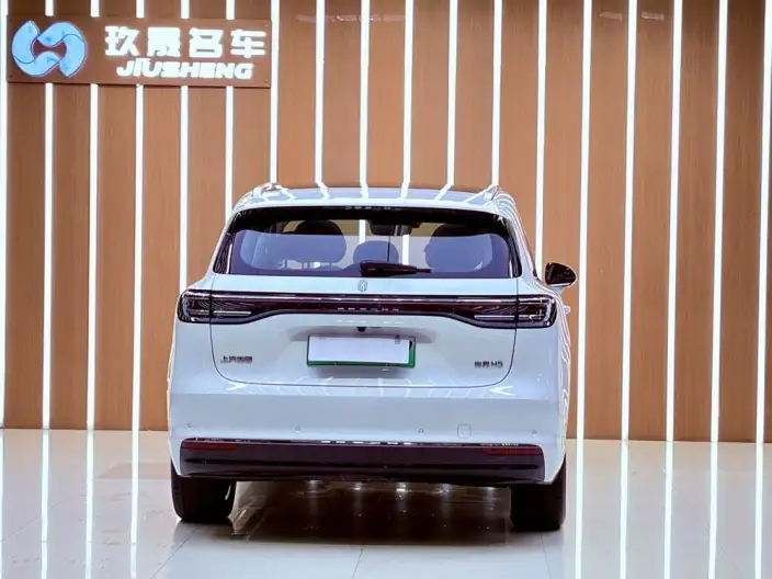 Sangyuan H5 2025 Model EV Pro – фото 5