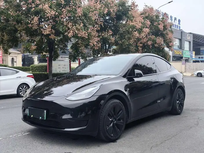 Model Y 2022 Model Facelift Rear-wheel drive version – фото 1