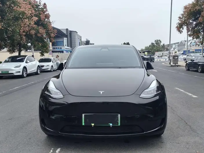 Model Y 2022 Model Facelift Rear-wheel drive version – фото 2