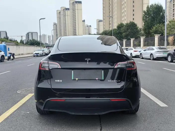 Model Y 2022 Model Facelift Rear-wheel drive version – фото 5