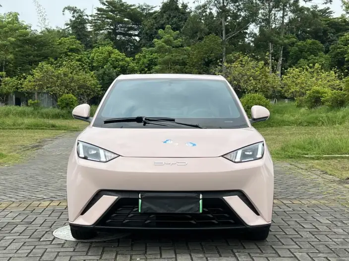 BYD Seagull 2023 Model Free Edition – фото 2