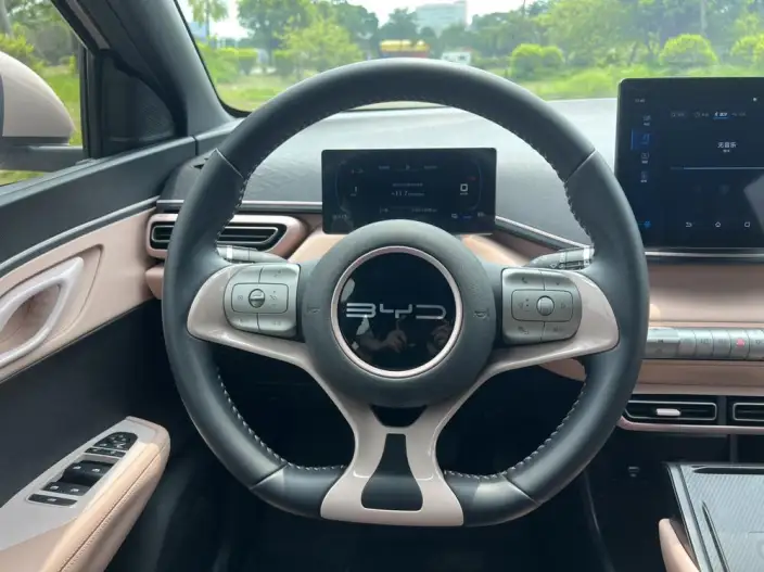 BYD Seagull 2023 Model Free Edition – фото 9
