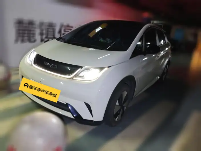 BYD Dolphin 2023 Model Fashion Edition – фото 1