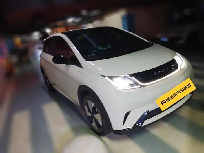 BYD Dolphin 2023 Model Fashion Edition – фото 3
