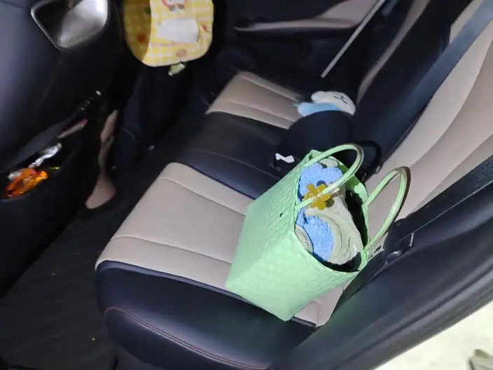 BYD Dolphin 2023 Model Fashion Edition – фото 10