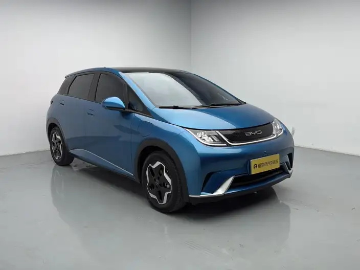 BYD Dolphin 2021 Model Fashion Edition – фото 3
