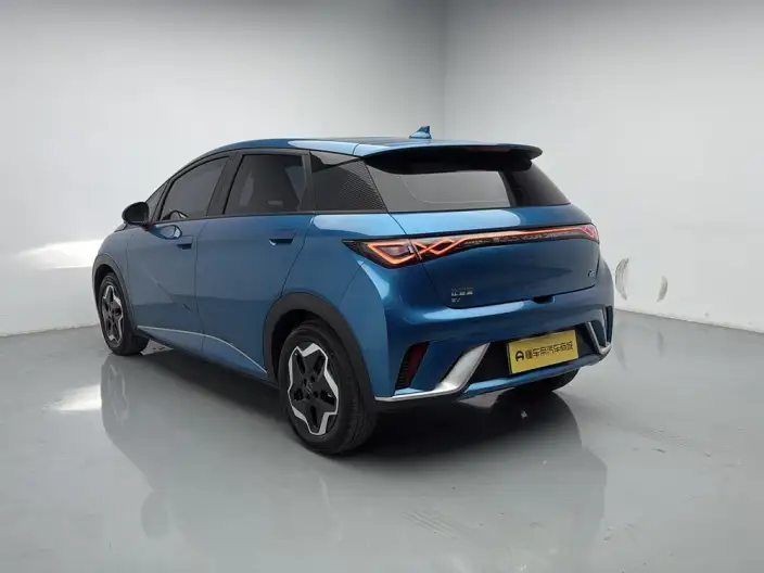 BYD Dolphin 2021 Model Fashion Edition – фото 5