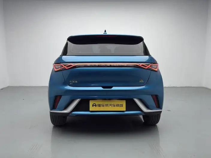BYD Dolphin 2021 Model Fashion Edition – фото 6