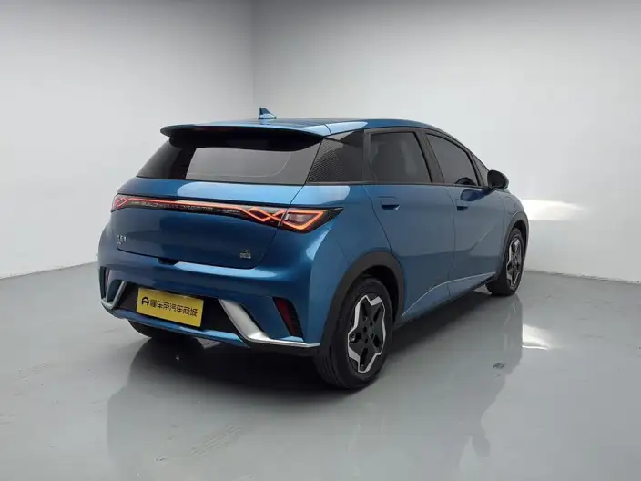 BYD Dolphin 2021 Model Fashion Edition – фото 7