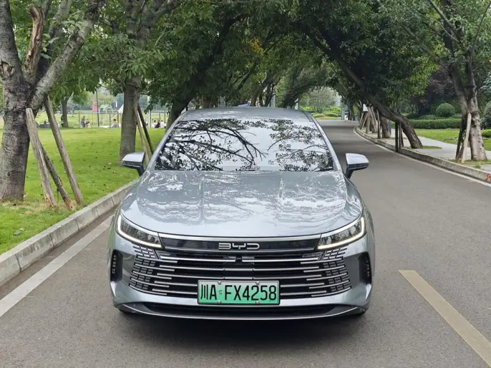 BYD Destroyer 05 2024 Model Honor Edition DM-i 55KM Luxury Model – фото 2