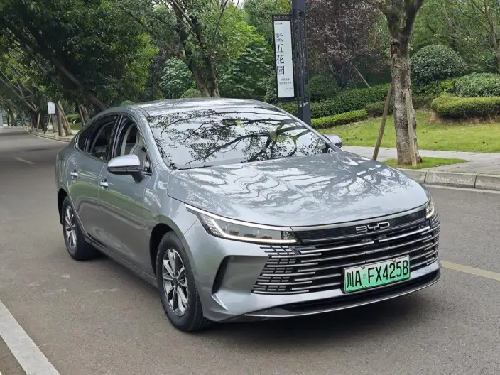 BYD Destroyer 05 2024 Model Honor Edition DM-i 55KM Luxury Model – фото 3
