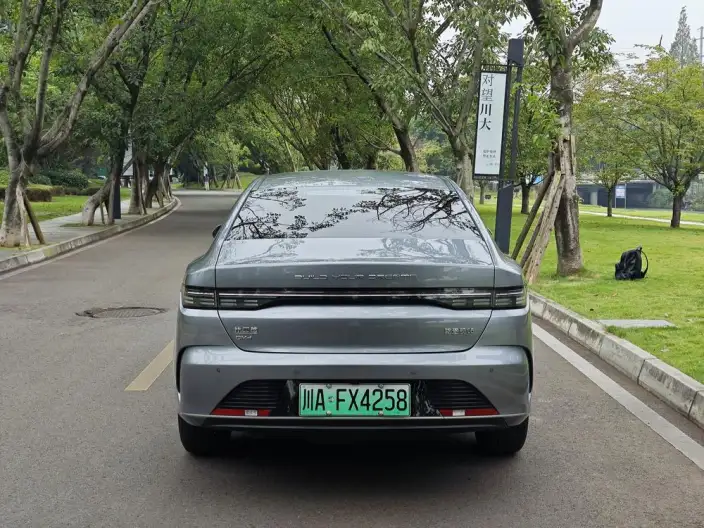 BYD Destroyer 05 2024 Model Honor Edition DM-i 55KM Luxury Model – фото 5