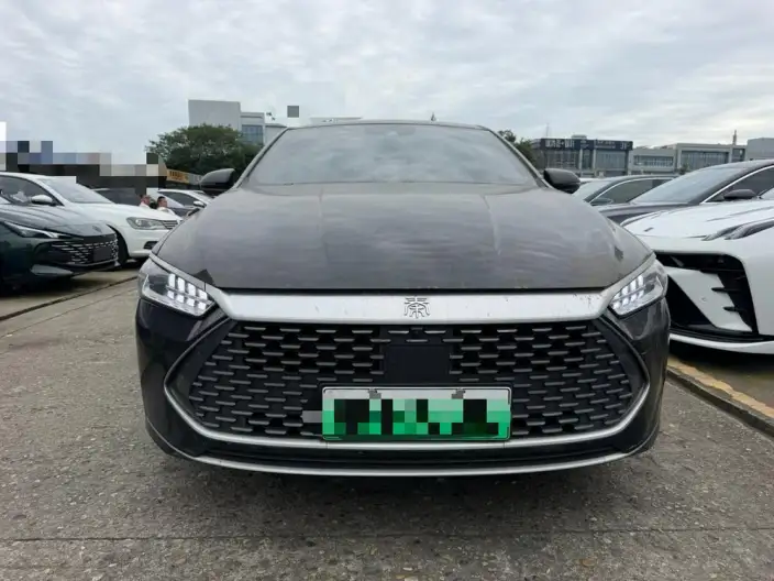 BYD Qin PLUS DM 2021 Model DM-i 120KM Noble Model – фото 2