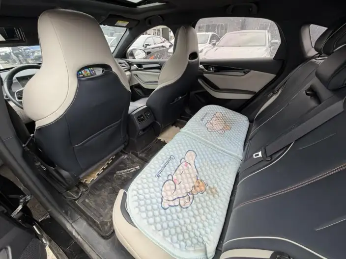 BYD Qin PLUS DM 2021 Model DM-i 120KM Noble Model – фото 12