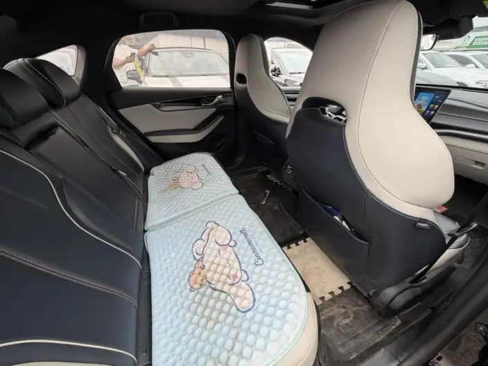 BYD Qin PLUS DM 2021 Model DM-i 120KM Noble Model – фото 13
