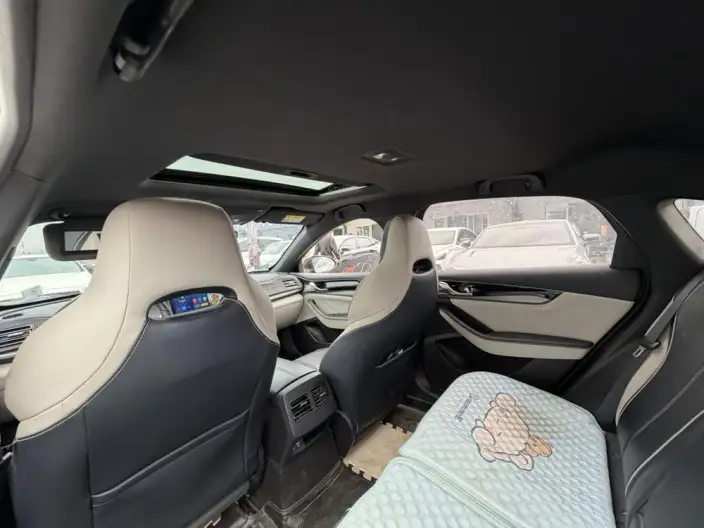 BYD Qin PLUS DM 2021 Model DM-i 120KM Noble Model – фото 17