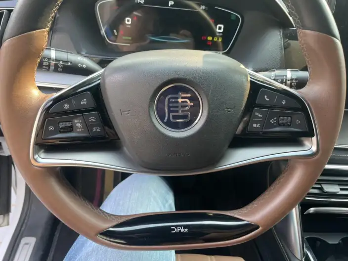 BYD Tang DM 2021 Model DM-i 1.5T 112KM Noble Model – фото 4