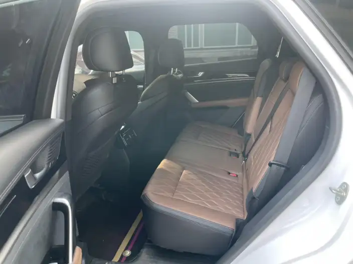BYD Tang DM 2021 Model DM-i 1.5T 112KM Noble Model – фото 11