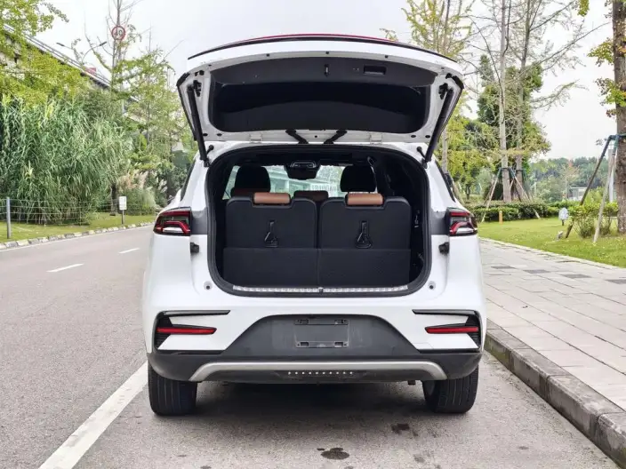 BYD Tang DM 2021 Model DM-i 1.5T 112KM Noble Model – фото 17