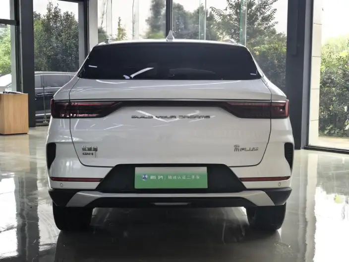 BYD Song PLUS DM 2021 Model DM-i 110KM 2WD Flagship PLUS – фото 4